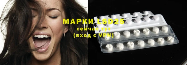 стаф Киренск