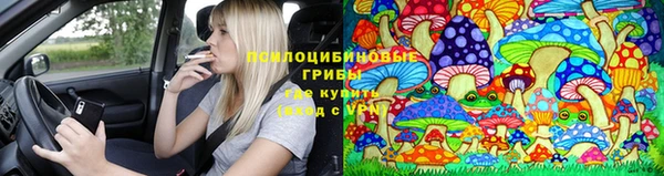 стаф Киренск