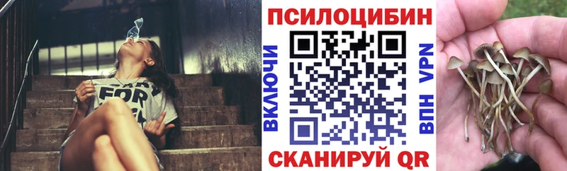 Псилоцибиновые грибы Magic Shrooms  Кола 